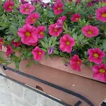 Trulletto Dei Sogni *