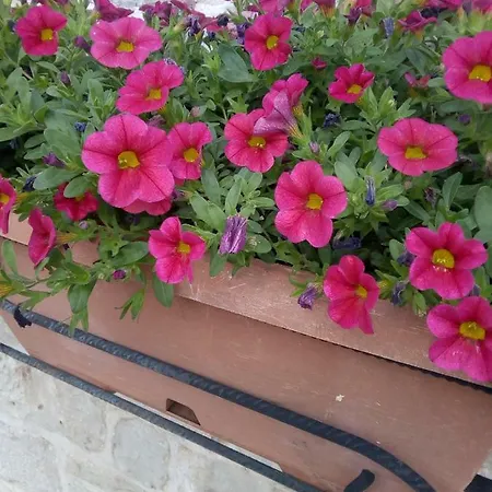 Trulletto Dei Sogni *