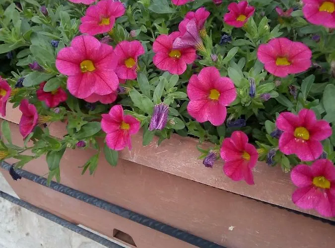 Trulletto Dei Sogni *